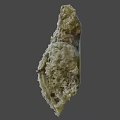 Unique Green And White Coral With Intricate Textured Natural Structure
