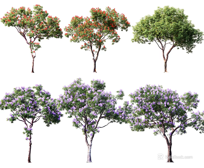 Ornamental Arbor Trees With Red Purple Flowers And Green Leaves For Garden Landscaping 3d model 