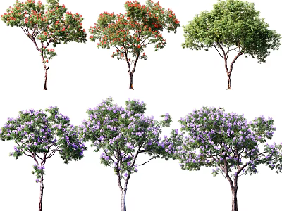 Ornamental Arbor Trees With Red Purple Flowers And Green Leaves For Garden Landscaping 3d model