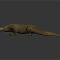 armadillo pangolin anteater land animal wild animal large animal mammal 3d model