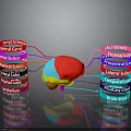 Human Brain Anatomy Model Showing Frontal Parietal Temporal Occipital Lobes And Cerebellum