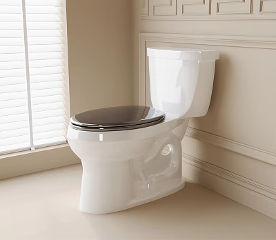 White Toilet With Black Seat In Bathroom Featuring Window Blinds And Light Colored Walls 3d model