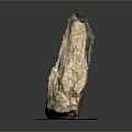Natural Wood Stone With Red Spots On Black And White Checkered Base
