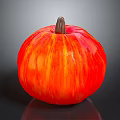 Fresh Striped Orange And Red Pumpkin With Brown Stem On Black Reflective Surface