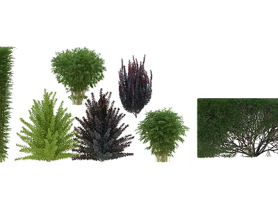 Different Types of Garden Shrubs with Green and Purple Foliage for Landscaping 3d model