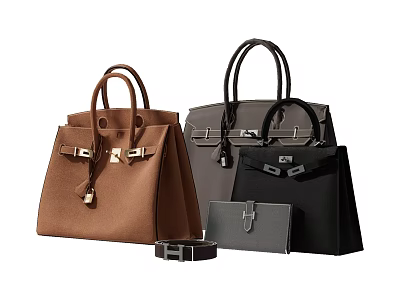 Luxury Handbags In Brown Gray Black With Metal Buckles And Small Clutch Accessory 3d model