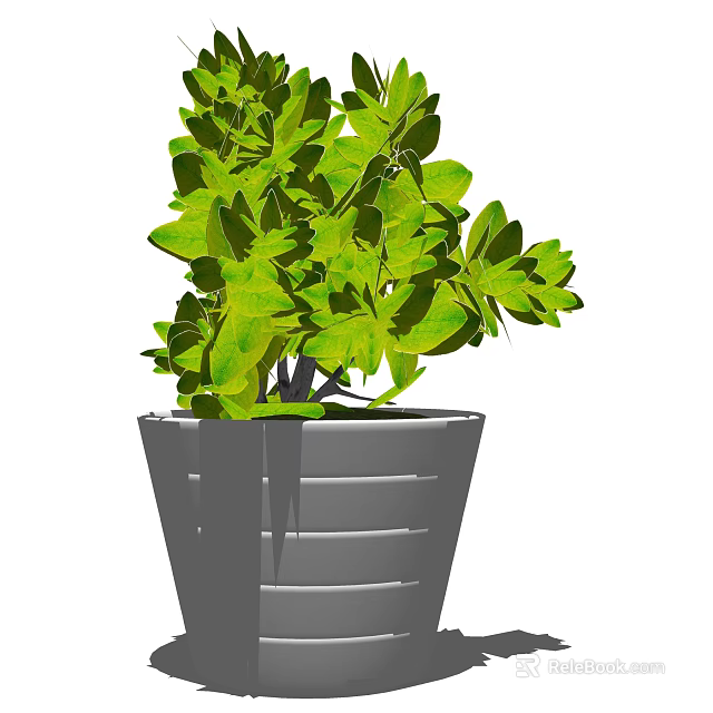 Bonsai Potted Plant With Lush Green Leaves In Modern Gray Striped Pot 3d model 
