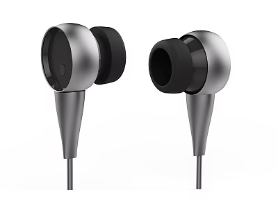 In Ear Headphones with Metallic Silver and Black Sleek Design Ergonomic Fit for Comfortable Wear 3d model
