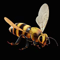 Detailed Bee With Yellow And Black Stripes Transparent Wings Long Antennae And Segmented Body
