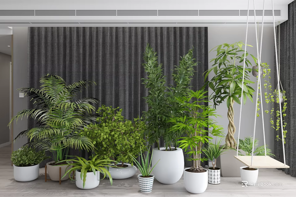 Indoor Bonsai and Potted Plants with Various Greenery and Decorative White Planters 3d model 