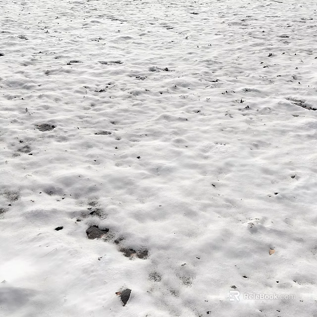 Snowy Winter Garden With Small Decorative Ornaments Footprints And Stones 3d model 