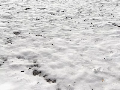 Snowy Winter Garden With Small Decorative Ornaments Footprints And Stones 3d model