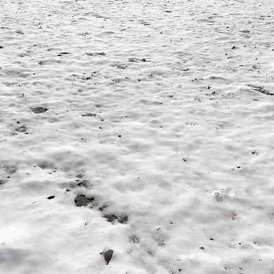 Snowy Winter Garden With Small Decorative Ornaments Footprints And Stones 3d model