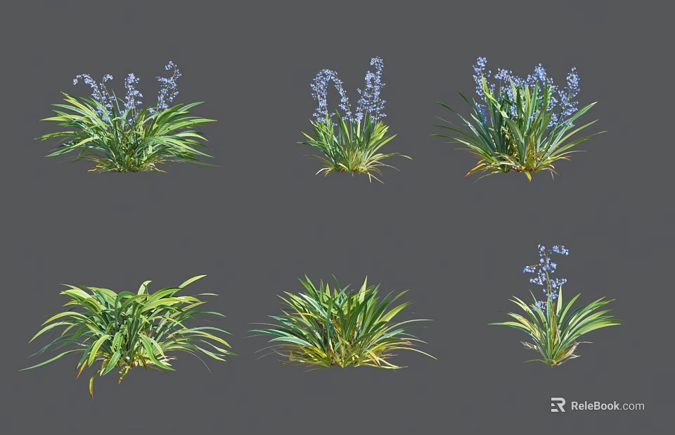Green Leafy Decorative Plants with Blue Flowers and Lush Foliage in Various Forms 3d model 