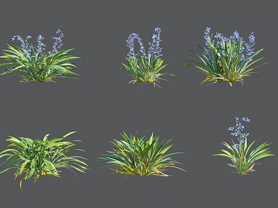 Green Leafy Decorative Plants with Blue Flowers and Lush Foliage in Various Forms 3d model