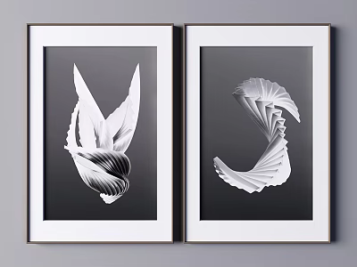 Black And White Framed Abstract Artworks With Feather And Spiral Designs 3d model