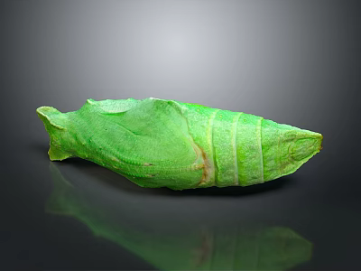 Green Leaf Wrapped Food Roll With Fresh Texture And Organic Appearance 3d model