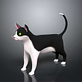 Black And White Cat With Green Eyes Standing On Gray Background