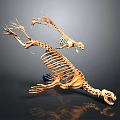 3D Rendered Medical Device Skeletal Model For Anatomical Study And Teaching