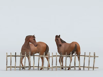 Two Brown Horses Standing in Front of Wooden Fence Outdoor View 3d model