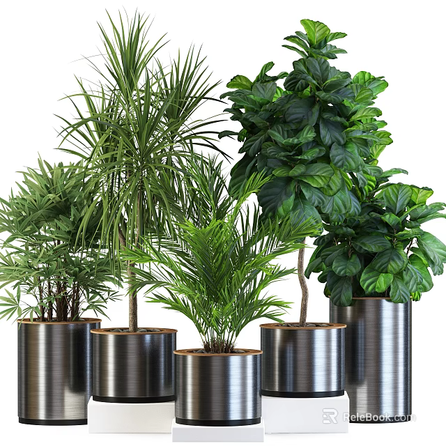 Various Green Potted Plants In Stylish Metal Pots For Indoor Decor 3d model 