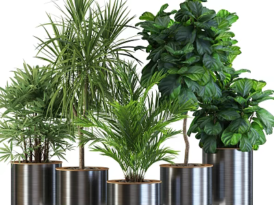 Various Green Potted Plants In Stylish Metal Pots For Indoor Decor 3d model