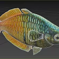 Colorful Aquatic Fish With Iridescent Scales Showcasing Vibrant Appearance Swimming In Blue Water