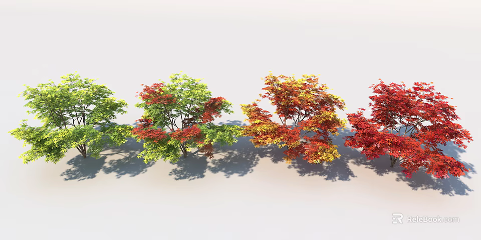 Colorful Arbor Trees With Green Red And Yellow Leaves In Garden Landscape Design 3d model 