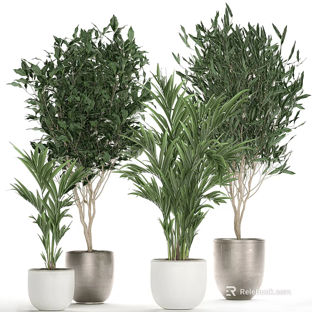 Lush Indoor Potted Plants With Various Green Foliage In Metal And White Pots 3d model 