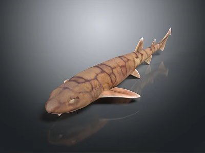 Realistic 3D Rendered Brown Striped Shark Aquatic Animal Model With Details 3d model