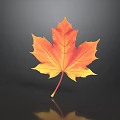 Vibrant Orange Yellow Maple Leaf Display On Dark Background With Reflection