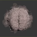 Black Mannequin Head With Human Face Features And Fluffy Pink Hair