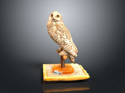 Spotted Owl Figurine with Detailed Feathers and Wooden Stand on Yellow Base 3d model