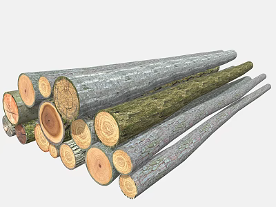 Pile Of Natural Wooden Logs Stacked With Various Sizes And Bark Texture Details 3d model