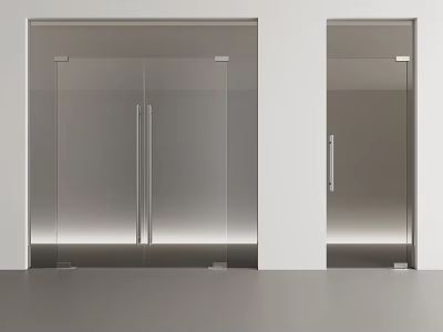 Modern Glass Double Doors Interior Design With Sleek Metal Handles And Mirrored Surface 3d model