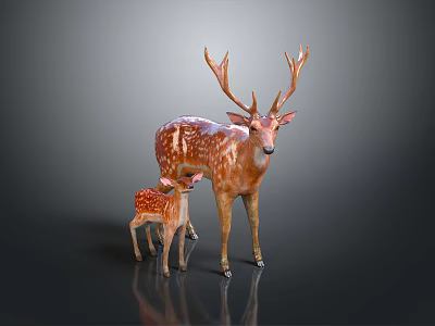 Adult Deer and Fawn Standing Together With Large Antlers and Spotted Fur 3d model