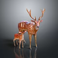 Adult Deer and Fawn Standing Together With Large Antlers and Spotted Fur