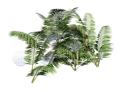 Bonsai Potted Plants Featuring Large Green Palm Like Leaves And Decorative Indoor Foliage 3d model