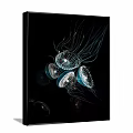 Multiple Glowing Transparent Jellyfish With Blue Tentacles Floating On Black Background