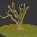 Rough Wooden Dead Tree Trunk With Curved Branches And Roots On Green Grass