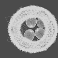 Brown Nest With Four White Eggs And Green Leaves On Dark Background