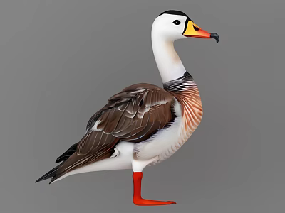wild goose 3d model