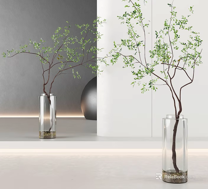 Decorative Aquatic Plants in Transparent Glass Vases with Green Branches and Modern Interior 3d model 