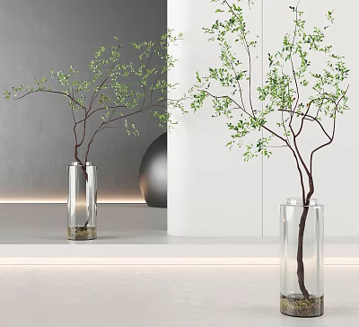 Decorative Aquatic Plants in Transparent Glass Vases with Green Branches and Modern Interior 3d model