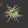 modern eukaryotic cell cross section cell structure cell tissue 3d model