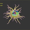 modern eukaryotic cell cross section cell structure cell tissue 3d model