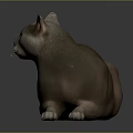 Relaxed Gray Cat Lying Down on Black Surface with Yellow Eyes