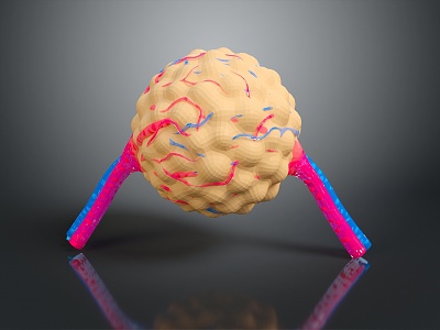 modern eukaryotic cell cross section cell structure cell tissue 3d model