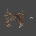 Realistic Crab Figure With Colorful Rubik's Cube On Gray Background