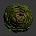 Green Pine Cone Plant Organ with Red Spots and Hair Like Scales on Gray Background